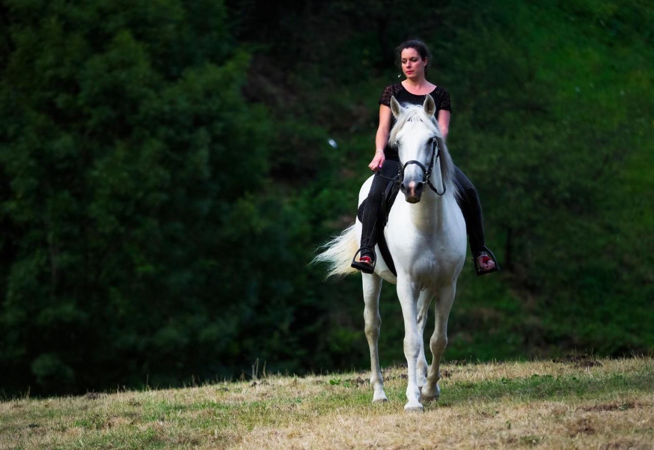 Hotel Rural Las Montanas De Pumar Besullo Zewnętrze zdjęcie